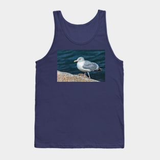 Seagull On The Breakwater Wall Tank Top